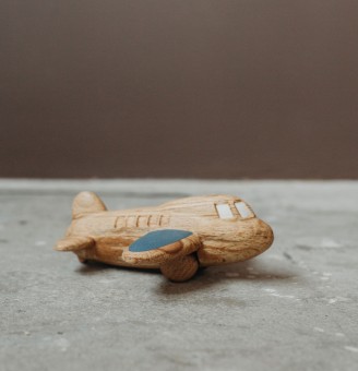 The plane