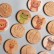 Wooden chips "Whose footprints"