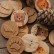 Wooden chips "Whose footprints"