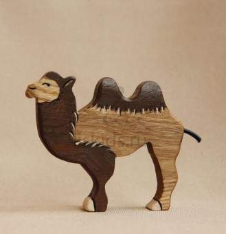 Camel